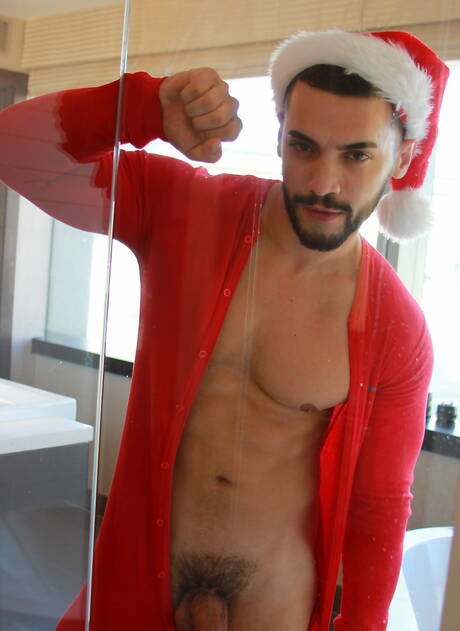 Famous americans, muscular Seth Santoro and hunk Arad Winwin sucking and fucking each other in shower