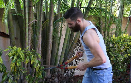 Pretty american guys otter Tommy Defendi and bear Jake Jennings fuck ass after sucking dick in the kitchen