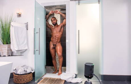 Canadian well-built Skyy Knox and ebony beefy Remy Cruze have interracial anal sex in bath