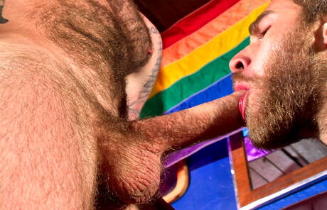 Hot american dudes well-built Shawn Wolfe and gay bear Aleks Buldocek sucking and screwing each other