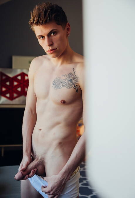 American stars hunk Jacen Zhu and beefcake Troy Accola fuck ass after interracial blowjob