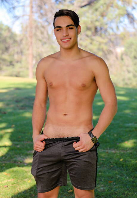 American well-built David Skylar and stud Sebastian Sky in hot anal sex outdoor