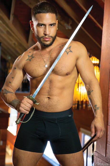 Nice american guys bull Brock Banks and mature bear Cole Connor in hot homosexual action