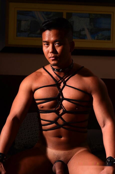 Pretty american guys muscular Alex Chu and pretty boy Rave Hardick likes to be roped