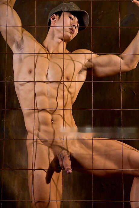 Oriental bodybuilder Peter Le shows a husky body