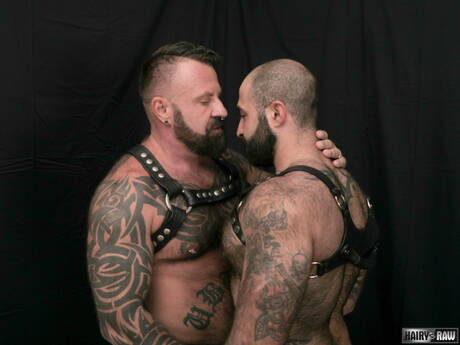 Canadian hot bear Marc Angelo and american gay bear Atlas Grant fuck after blowjob